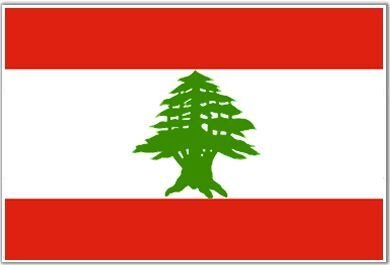 95d6c67045d8cb9c95fe5c8e6783203a--lebanon-flag-flags